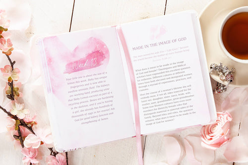 I Love You Already: A 40-Week Devotional for Expecting Mothers