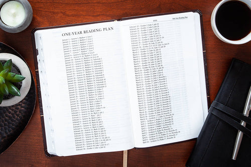 KJV Compact Bible - Amethyst