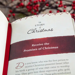 The Story of Christmas: An Advent Devotional