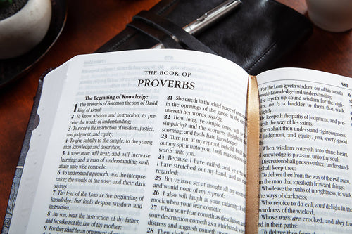 KJV Compact Bible - Amethyst