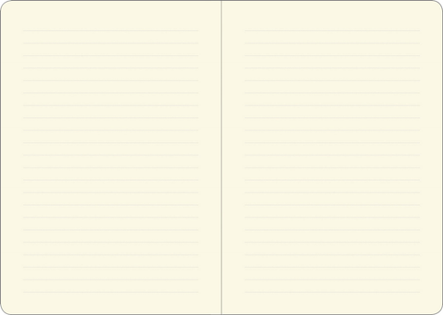 Solid light beige colored pages of a blank journal.