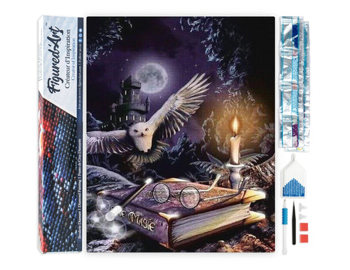 Magic Owl diamond painting kit with completed artwork, tools, tray, wax, and rhinestone packets