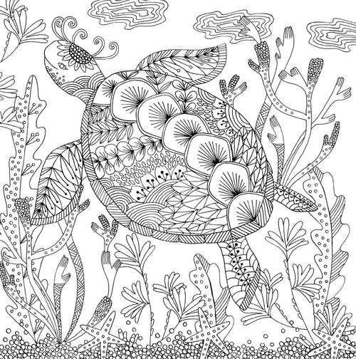 Follow Your Dreams: Artist’s Sanctuary Coloring Book
