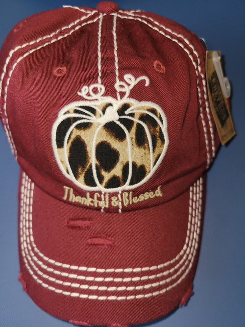 Various Embroidered Baseball Caps - ONLY $5.00