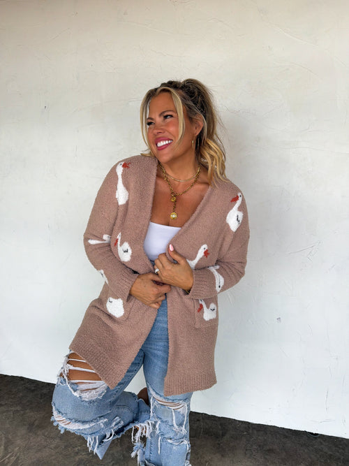 Sweaters & Cardigans