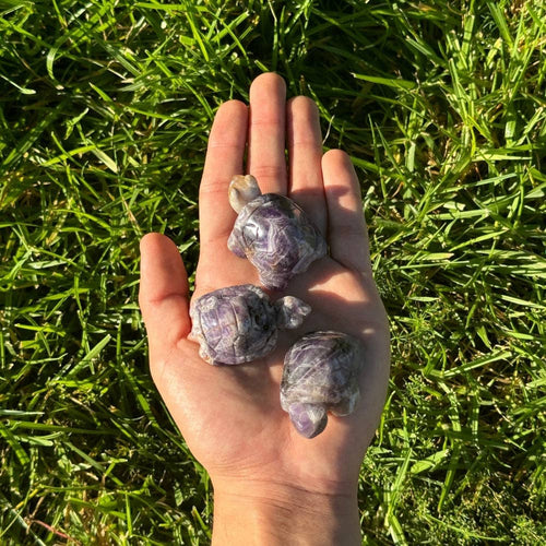 Amethyst Crystal Turtle – Gemstone Decor