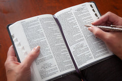 KJV Compact Bible - Amethyst