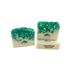 Close up of a cream-colored "Island Citrus" goat's milk soap bar featuring a textured turquoise wave top and a small grey dolphin silhouette embedded in the center.
