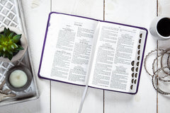 KJV Compact Bible - Amethyst