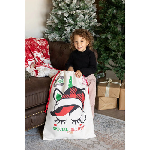 2024 Santa Sacks - 10 Styles Available | Pre-Order Now | Not Personalized