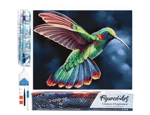Hummingbird in the Night diamond painting kit with completed artwork, tools, tray, and rhinestone packets