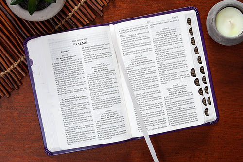 KJV Compact Bible - Amethyst