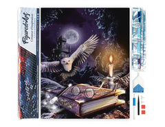 Magic Owl diamond painting kit with completed artwork, tools, tray, wax, and rhinestone packets